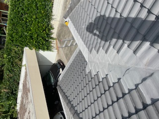 Professional gutter cleaning service in progress