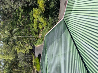 Clean colorbond gutters after service